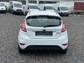 Ford Fiesta 1,2 / KLIMA / TÜV 6/26 Trend Weiß - thumbnail 6