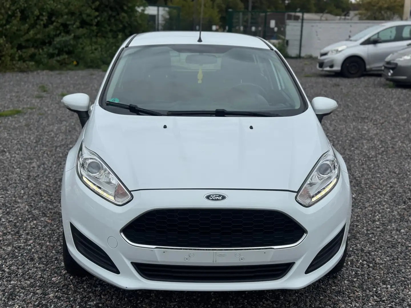 Ford Fiesta 1,2 / KLIMA / TÜV 6/26 Trend Weiß - 2