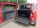 Ford EcoSport Titanium 5 Jahre Garantie Winterpaket Rot - thumbnail 4