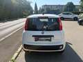 Fiat Pandina FireFly Hybrid 65 Icon Weiß - thumbnail 5