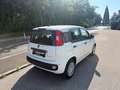 Fiat Pandina FireFly Hybrid 65 Icon Weiß - thumbnail 4