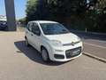 Fiat Pandina FireFly Hybrid 65 Icon Weiß - thumbnail 2