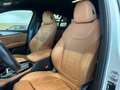 BMW X4 xDrive 20dA xLine M Sport Blanco - thumbnail 19