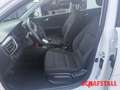 Kia Rio Edition 7 EMOTION KLIMA 1.Hand FACELIFT Sitzheizun Weiß - thumbnail 10