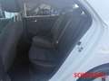 Kia Rio Edition 7 EMOTION KLIMA 1.Hand FACELIFT Sitzheizun Weiß - thumbnail 15