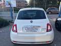 Fiat 500 1.0 hybrid Launch Edition 70cv Bianco - thumbnail 6