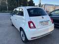 Fiat 500 1.0 hybrid Launch Edition 70cv Bianco - thumbnail 5