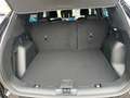 Ford Kuga ST-Line,186PS,AHK,5JGaran,DSG,WP,Navi,Kamer Schwarz - thumbnail 12