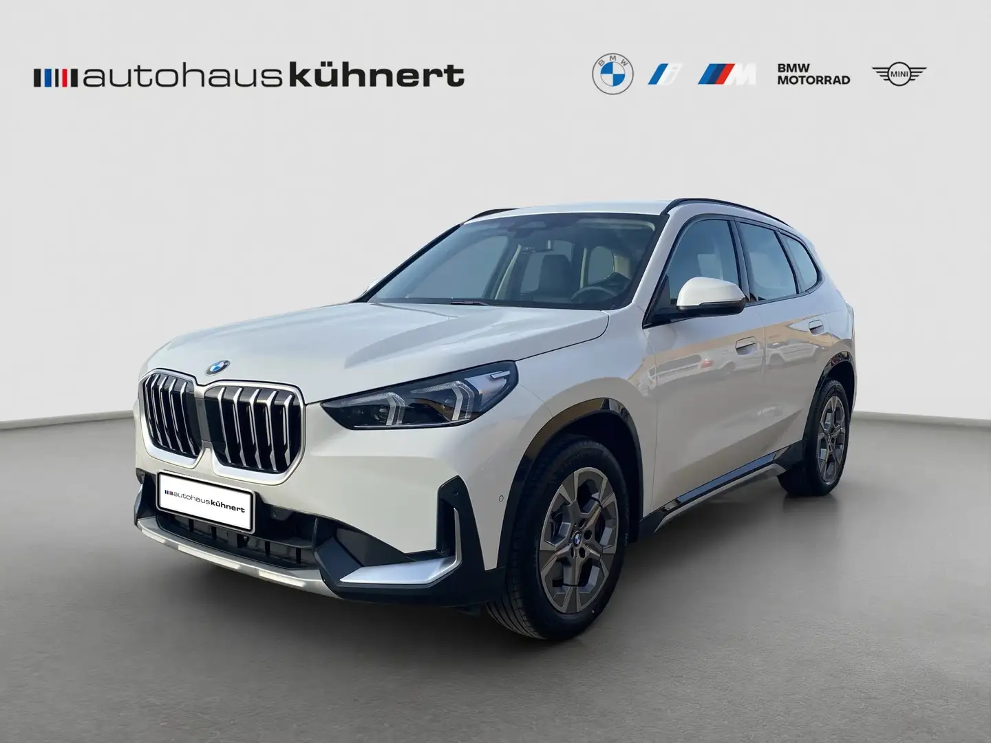 BMW X1 xDrive20d xLine ACC SpurAss AHK HiFi Navi RFK Weiß - 1