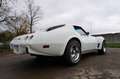 Corvette C3 SURVIVOR Erst 21250 Original MLS - Sammler Blanco - thumbnail 22