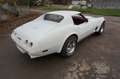 Corvette C3 SURVIVOR Erst 21250 Original MLS - Sammler Blanco - thumbnail 20