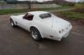 Corvette C3 SURVIVOR Erst 21250 Original MLS - Sammler Blanco - thumbnail 16