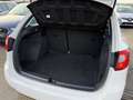 SEAT Ibiza ST 1.2 TSI Style Clim Auto Face Lift Euro 5b Белый - thumbnail 11