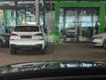 Skoda Enyaq Coupé 85 x Sportline Paket Traveller I Paket Ma... Grün - thumbnail 24