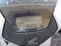 Honda SH 150 - Anno 2019 Bianco - thumbnail 3
