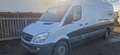 Mercedes-Benz Sprinter 313 CDI Sprinter 313 CDI 906.635 Automatik Weiß - thumbnail 5
