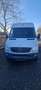 Mercedes-Benz Sprinter 313 CDI Sprinter 313 CDI 906.635 Automatik Weiß - thumbnail 6
