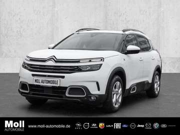 Shine Pack Hybrid El. Panodach Leder 360 Kamera LE
