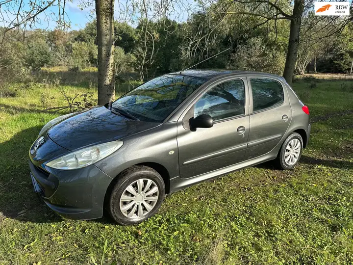 Peugeot 206 + 1.1 Accent APK 22-08-2027