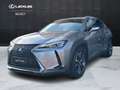 Lexus UX 250h UX 250h 2.0 Premium 2wd cvt Grijs - thumbnail 1