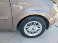 Lancia MUSA 1.3 Multijet 16V 90 CV Platino Braun - thumbnail 8