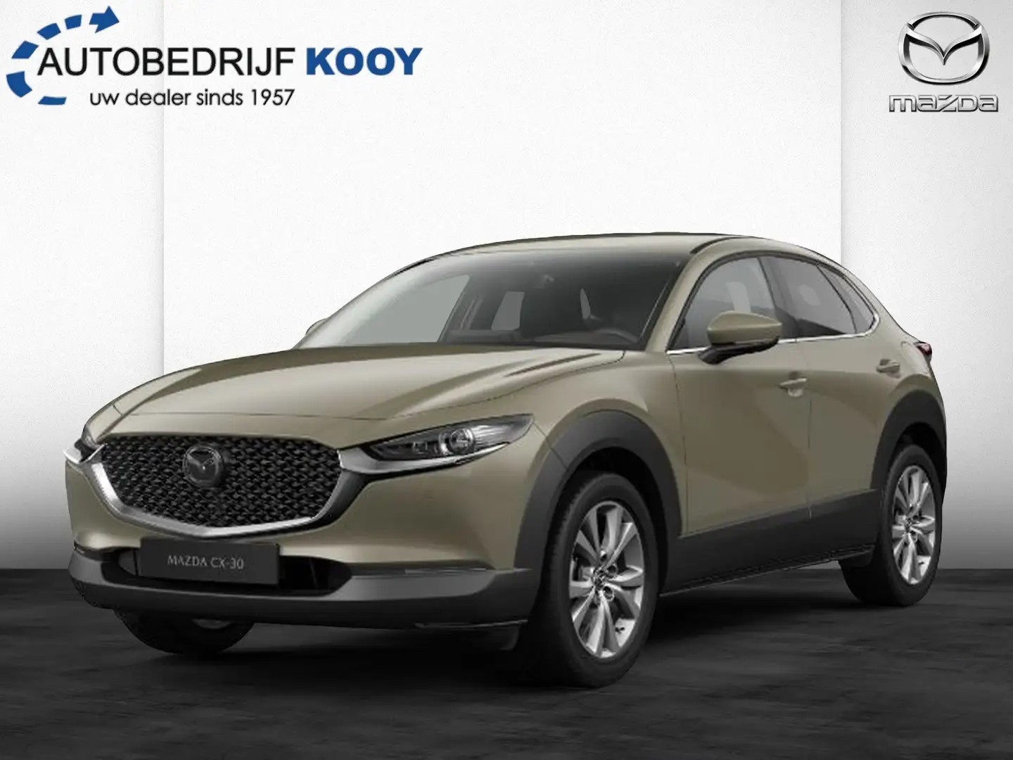 Mazda CX-30 2.5 e-SkyActiv-G 140 Takumi / Zwart leer Green - 1