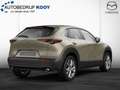Mazda CX-30 2.5 e-SkyActiv-G 140 Takumi / Zwart leer zelena - thumbnail 2