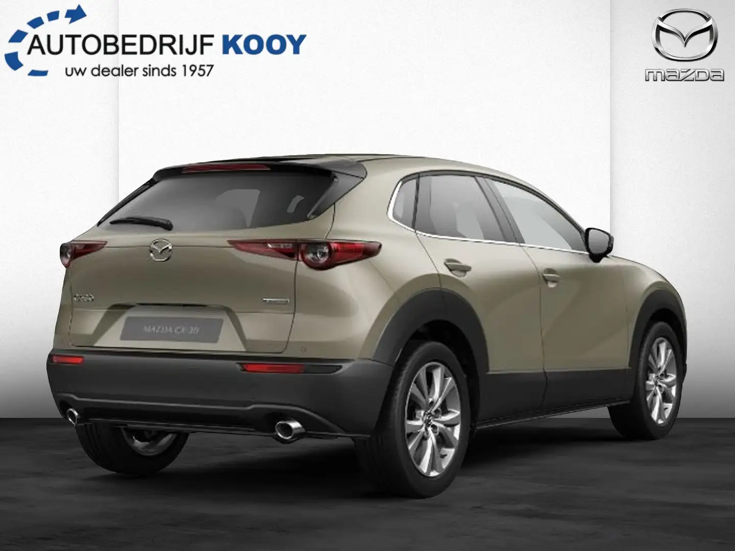 Mazda CX-30 2.5 e-SkyActiv-G 140 Takumi / Zwart leer Green - 2