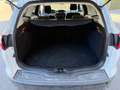 Ford Focus Traveller Easy 1,6 TDCi Weiß - thumbnail 15