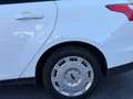 Ford Focus Traveller Easy 1,6 TDCi Weiß - thumbnail 6