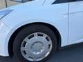 Ford Focus Traveller Easy 1,6 TDCi Weiß - thumbnail 8