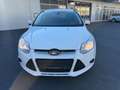 Ford Focus Traveller Easy 1,6 TDCi Weiß - thumbnail 2