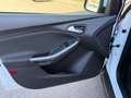 Ford Focus Traveller Easy 1,6 TDCi Weiß - thumbnail 19