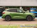 Ford Kuga 2.5 Duratec FHEV ST-Line X AWD Aut. Verde - thumbnail 8