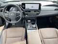 Lexus ES 300 h Luxury Line Schiebedach*HUD*4xSHZ*Navi Schwarz - thumbnail 13