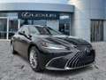 Lexus ES 300 h Luxury Line Schiebedach*HUD*4xSHZ*Navi Schwarz - thumbnail 8