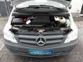 Mercedes-Benz Vito 113 CDI Kasten 4x4 Allrad Automatik Weiß - thumbnail 14