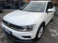 Volkswagen Tiguan 2.0 TDI Business Navi 150CV DSG Bianco - thumbnail 3