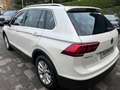 Volkswagen Tiguan 2.0 TDI Business Navi 150CV DSG Bianco - thumbnail 4