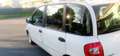 Fiat Multipla 1900 JTD emotion Blanc - thumbnail 1