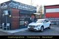 Mercedes-Benz GLA 250 GLA250 4Matic Navi Temp Sitzhzg Kamera Weiß - thumbnail 2