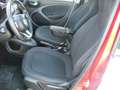 smart forFour 1.0 Passion 71cv twinamic, tetto pan, ottime cond. Bianco - thumbnail 7