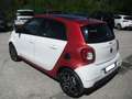 smart forFour 1.0 Passion 71cv twinamic, tetto pan, ottime cond. Bianco - thumbnail 3