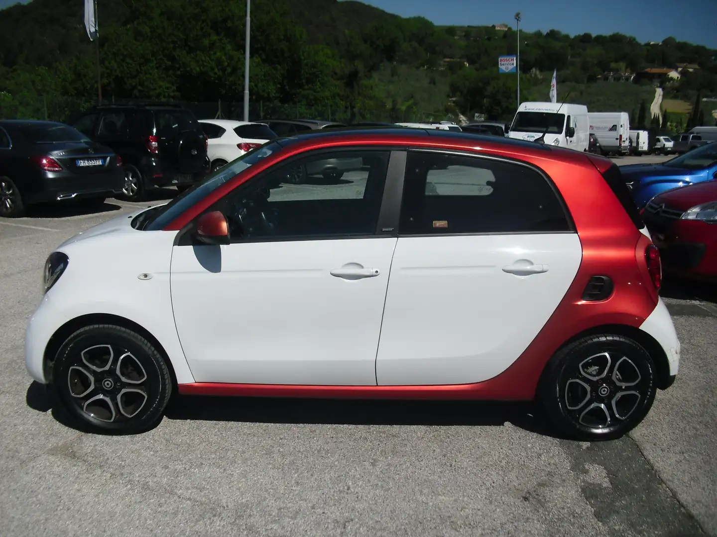 smart forFour 1.0 Passion 71cv twinamic, tetto pan, ottime cond. Bianco - 2