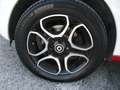 smart forFour 1.0 Passion 71cv twinamic, tetto pan, ottime cond. Bianco - thumbnail 15
