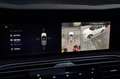 Hongqi E-HS9 President 99 kWh Panorama dak | LM 21" | Matrix | Grau - thumbnail 31