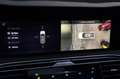 Hongqi E-HS9 President 99 kWh Panorama dak | LM 21" | Matrix | Grau - thumbnail 30