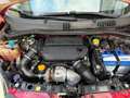 Fiat Panda Panda III 2012 4x4 1.3 mjt 16v 4x4 75cv Rot - thumbnail 17
