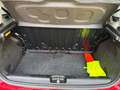 Fiat Panda Panda III 2012 4x4 1.3 mjt 16v 4x4 75cv Rot - thumbnail 18