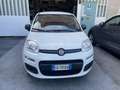 Fiat Panda Panda III 2016 1.2 Easy Bianco - thumbnail 2